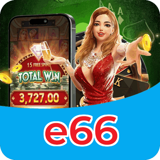 Reload Bonus e66
